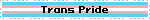 trans Pride
